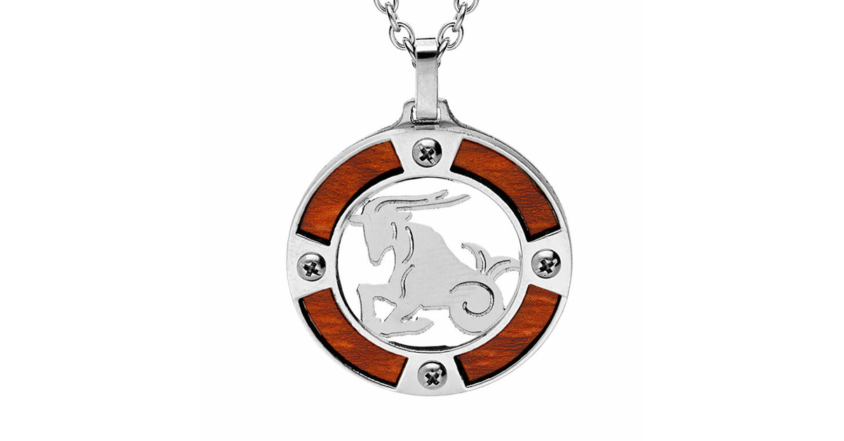 Collier Zodiaque Capricorne en Acier main image 0